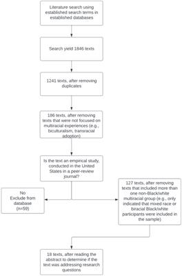 Making sense of conflicting messages of multiracial identity: a systematic review